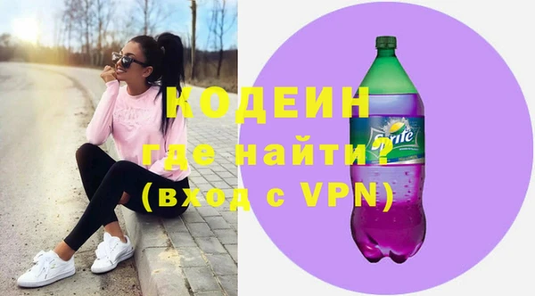 индика Приозерск