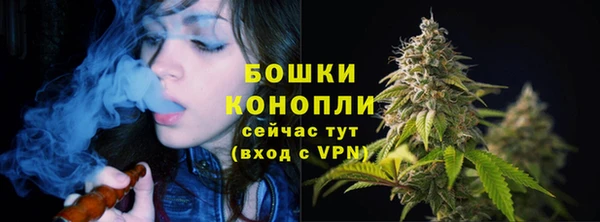 тгк Протвино