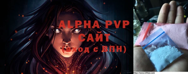 индика Приозерск