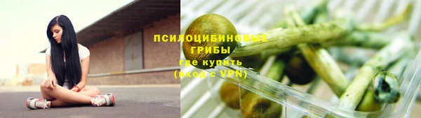 индика Приозерск