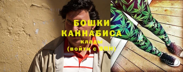 тгк Протвино