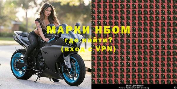 индика Приозерск