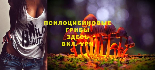 тгк Протвино