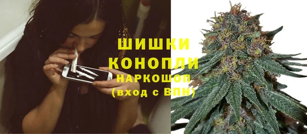 индика Приозерск